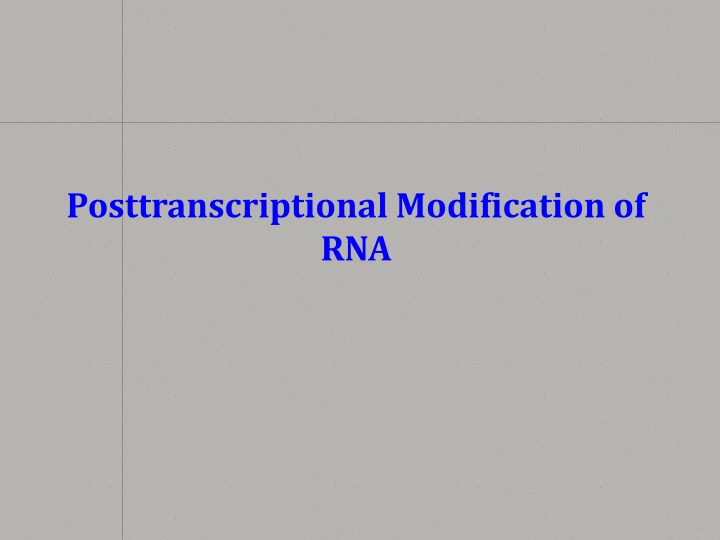 posttranscriptional modification of rna