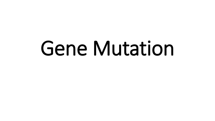 gene mutation gene mutation