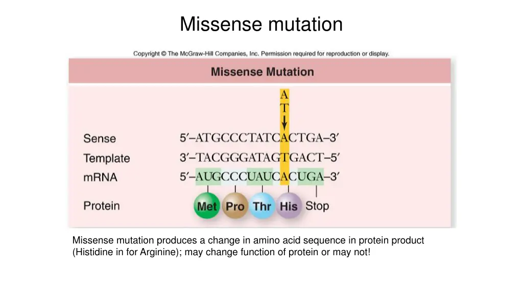 missense mutation