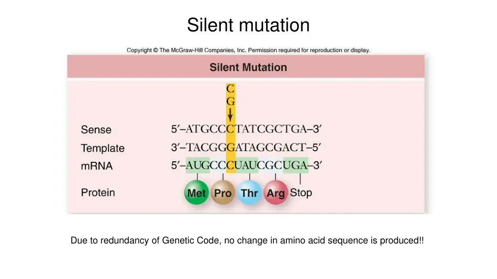 silent mutation