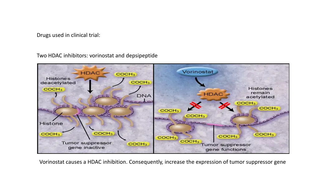 drugs used in clinical trial 1