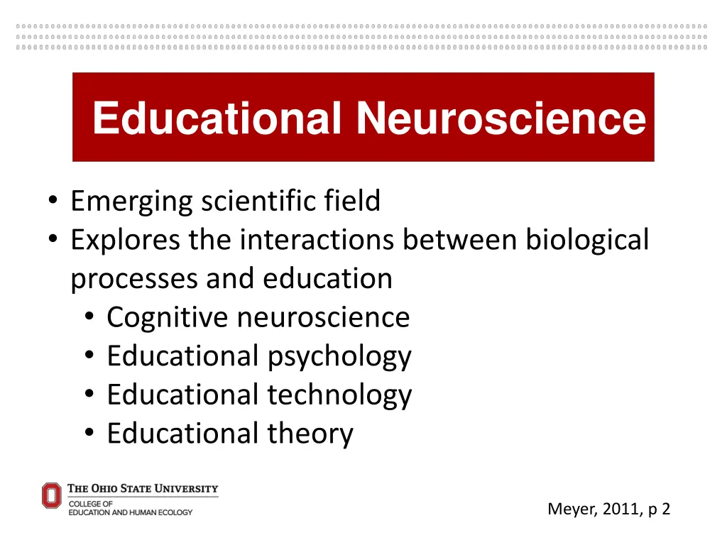 educational neuroscience