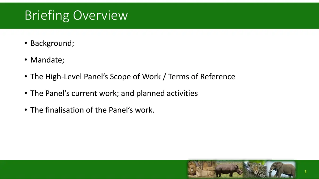 briefing overview