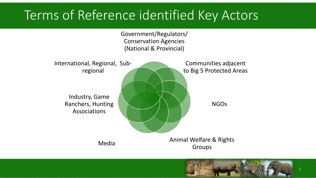 terms of reference identified key actors