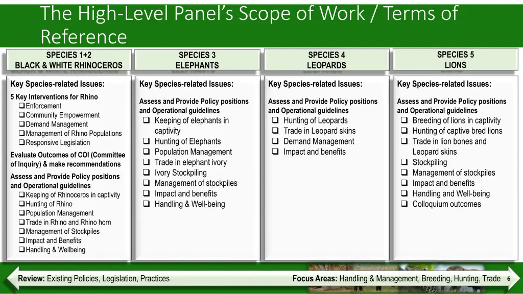 the high level panel s scope of work terms