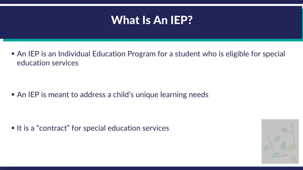 what is an iep