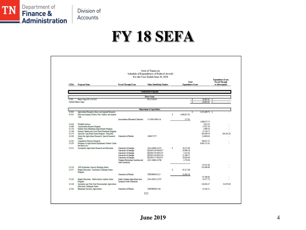 fy 18 sefa