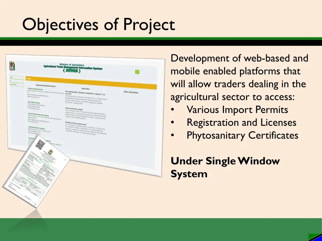 objectives of project