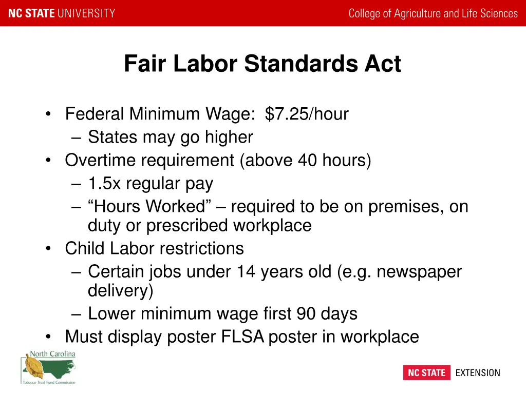 fair labor standards act