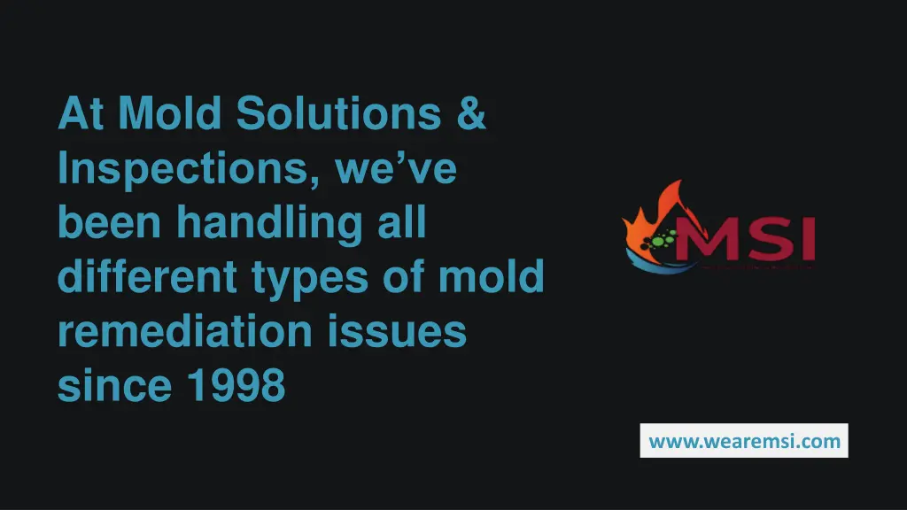 at mold solutions inspections we ve been handling