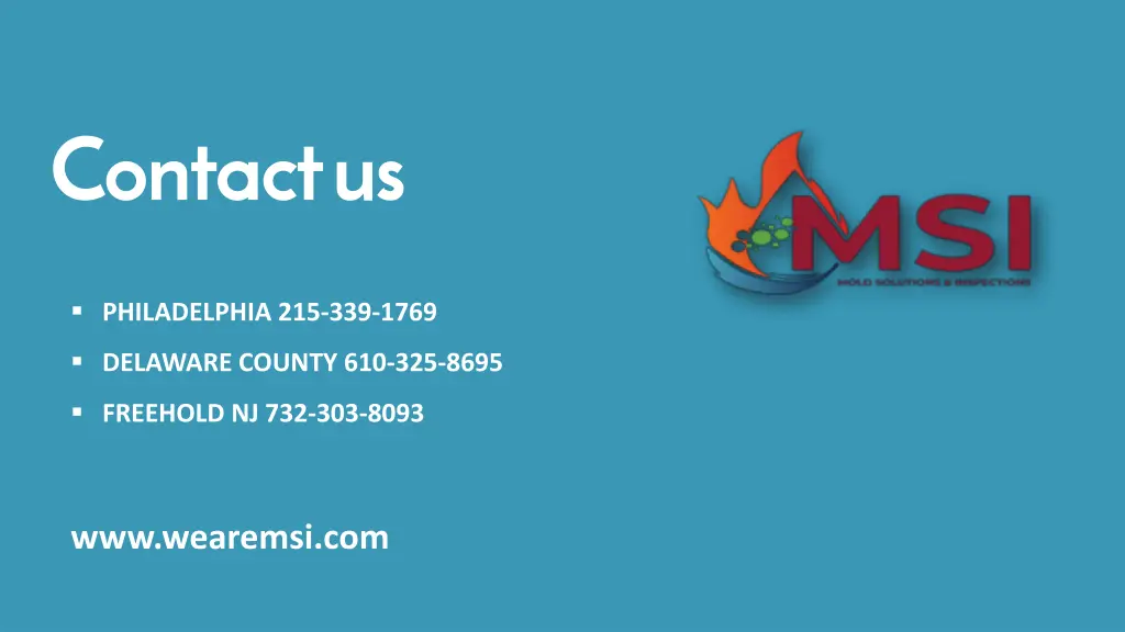 contact us