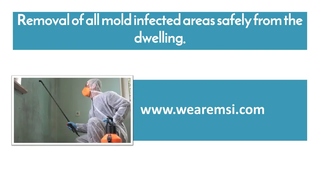 removal of all mold infected areas safely from