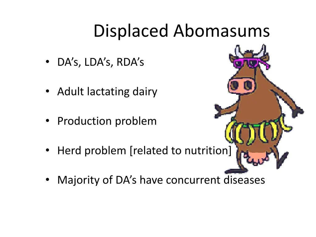 displaced abomasums