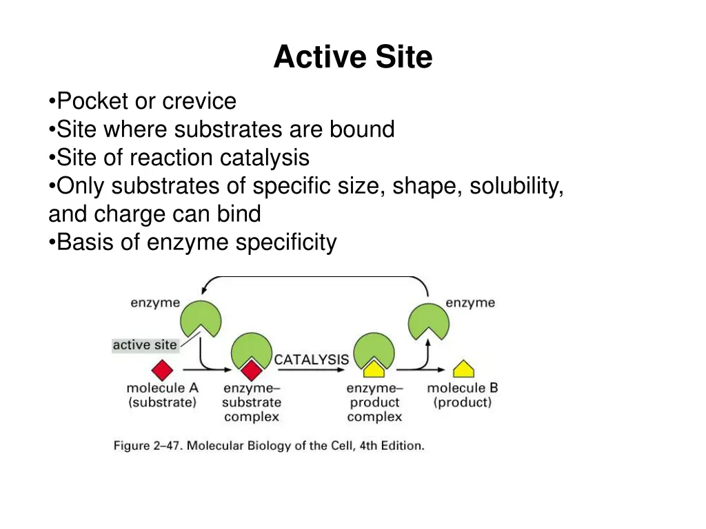 active site