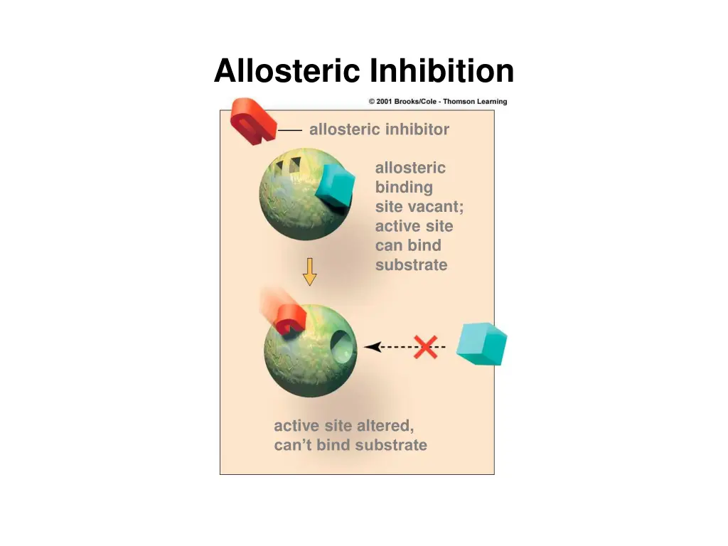 allosteric inhibition