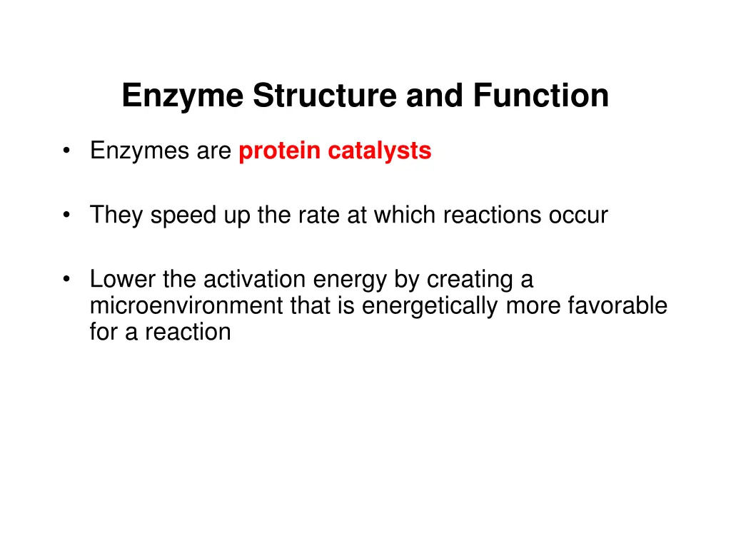 enzyme structure and function