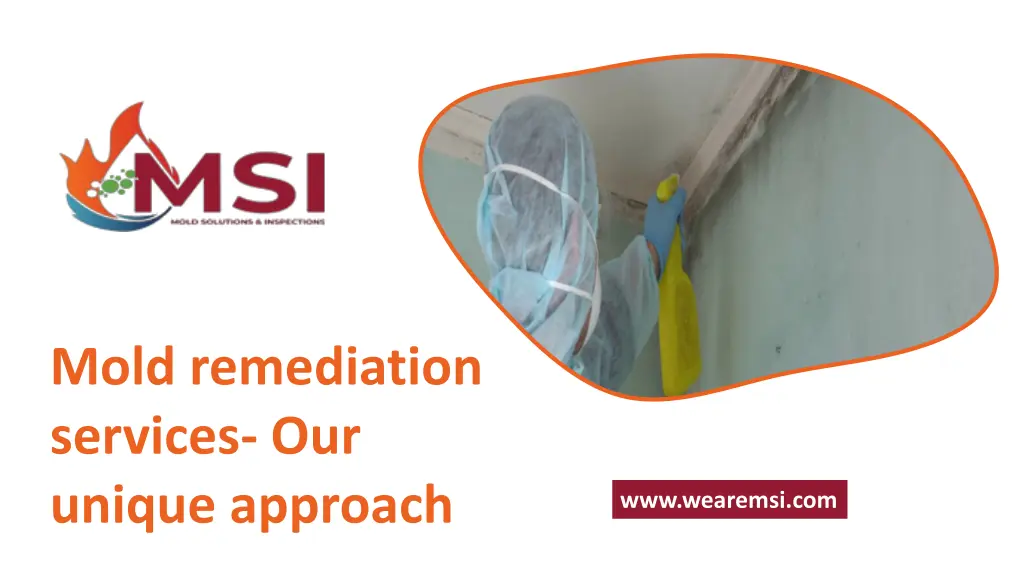 mold remediation services our unique approach