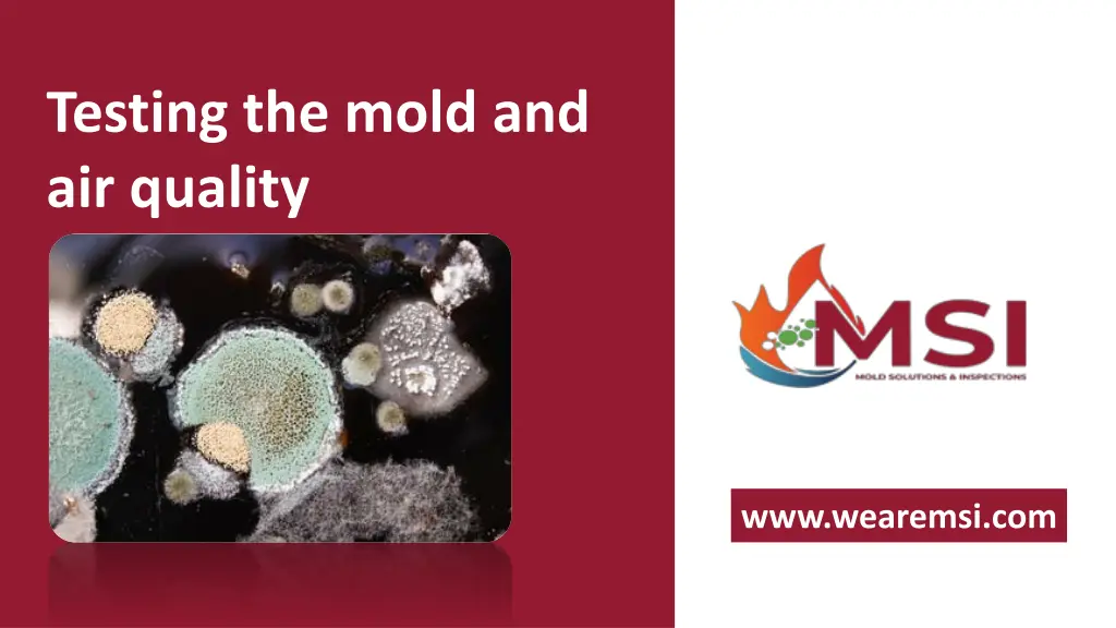 testing the mold and air quality