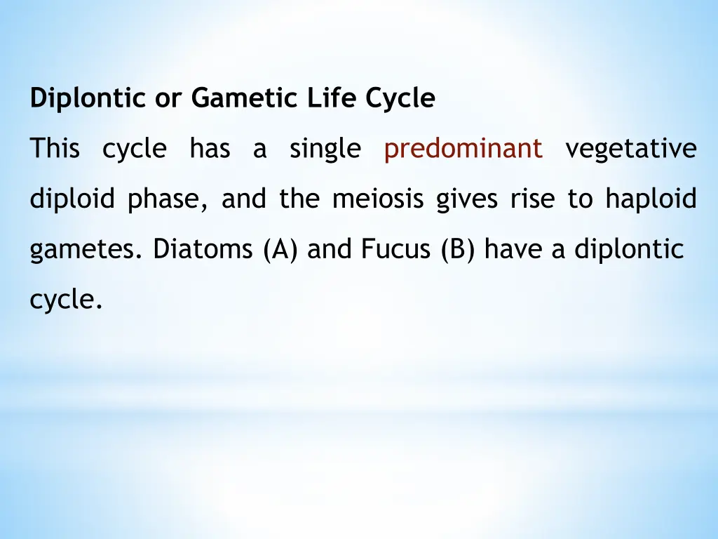 diplontic or gametic life cycle