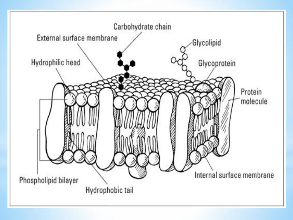 slide22