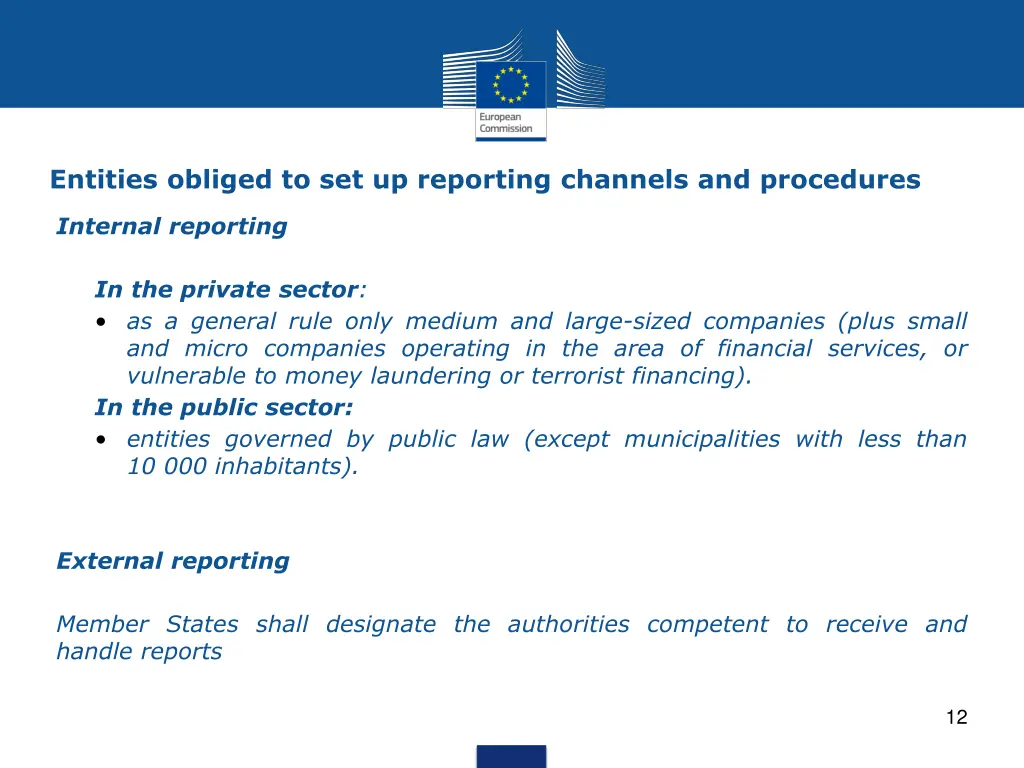 entities obliged to set up reporting channels