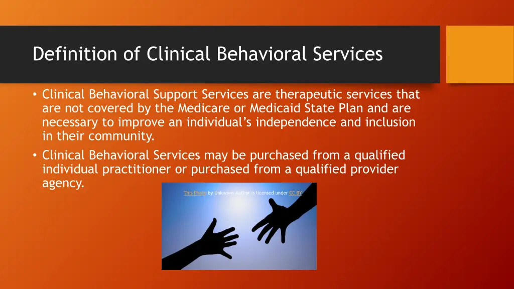 definition of clinical behavioral services