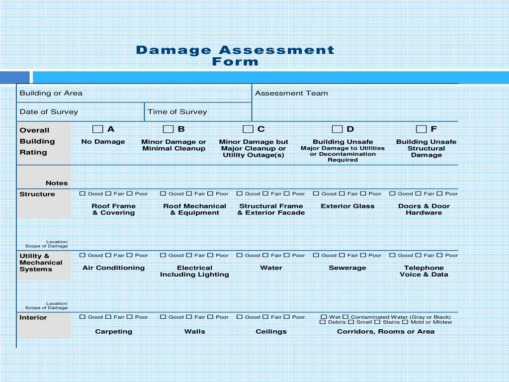 damage assessment form