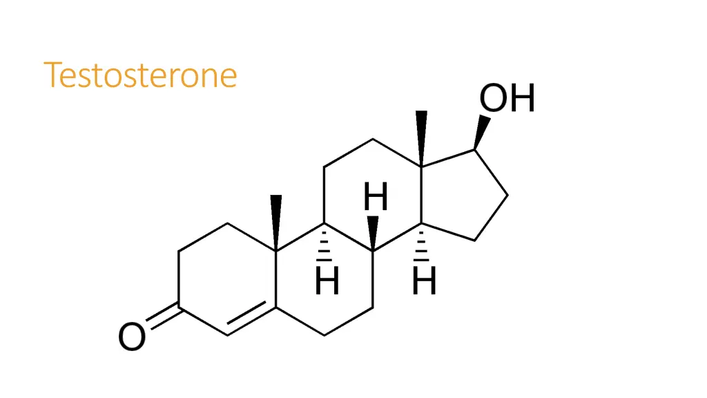 testosterone