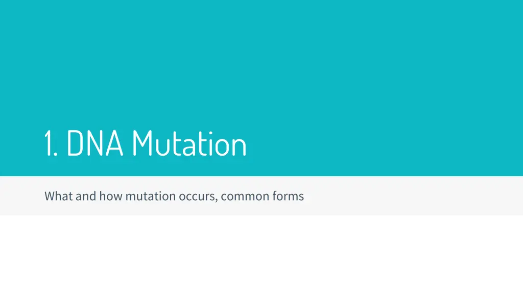 1 dna mutation