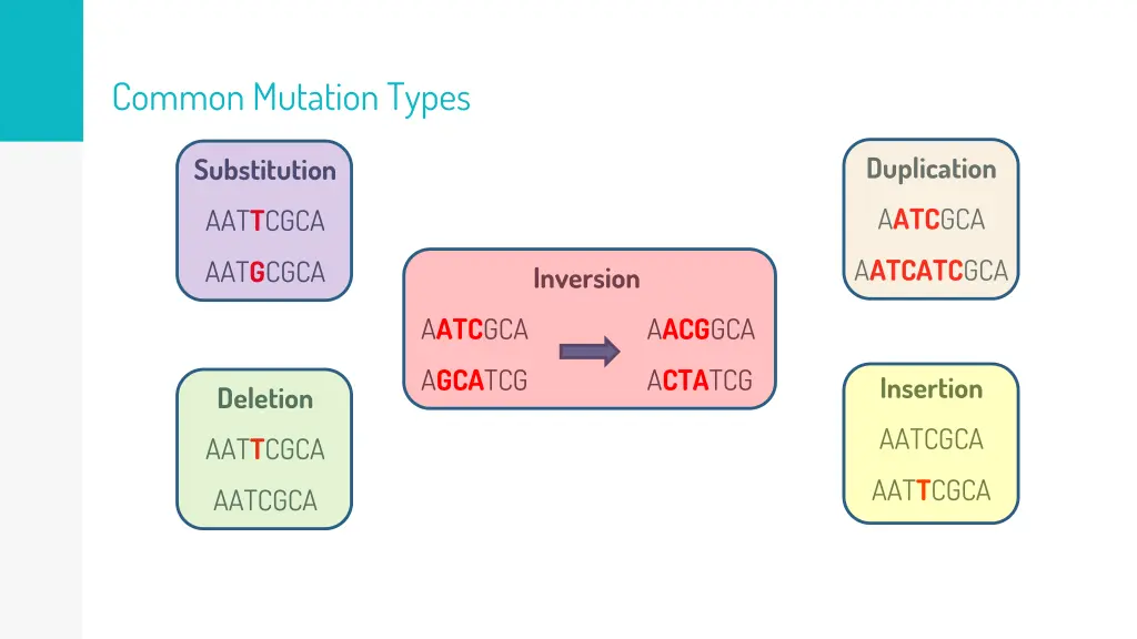 common mutation types