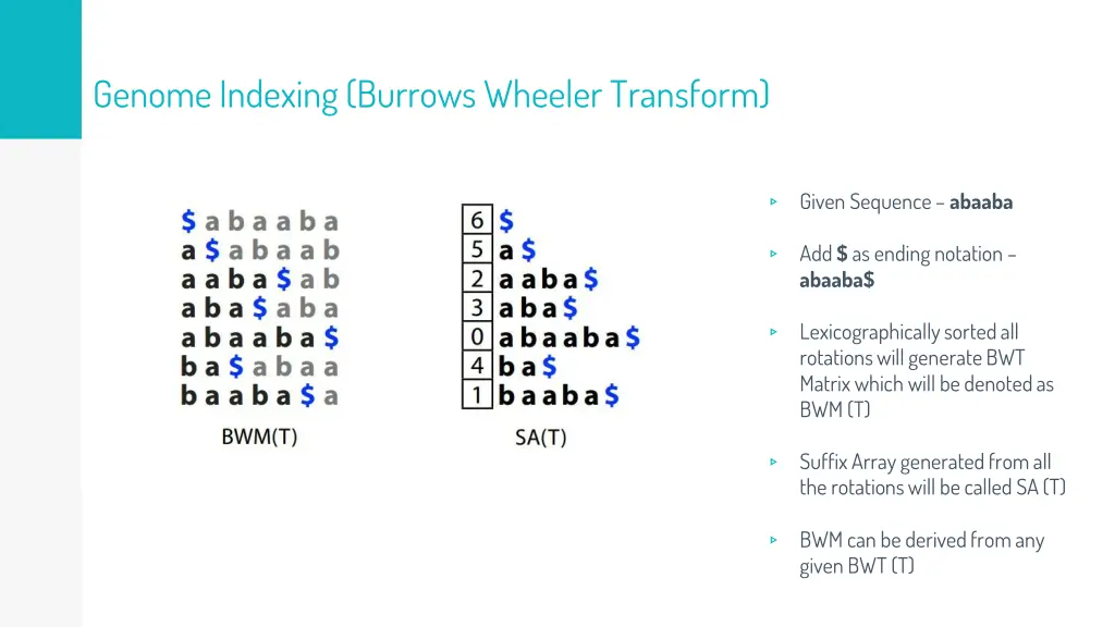 genome indexing burrows wheeler transform 1