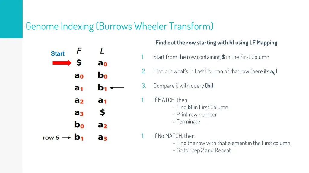 genome indexing burrows wheeler transform 3