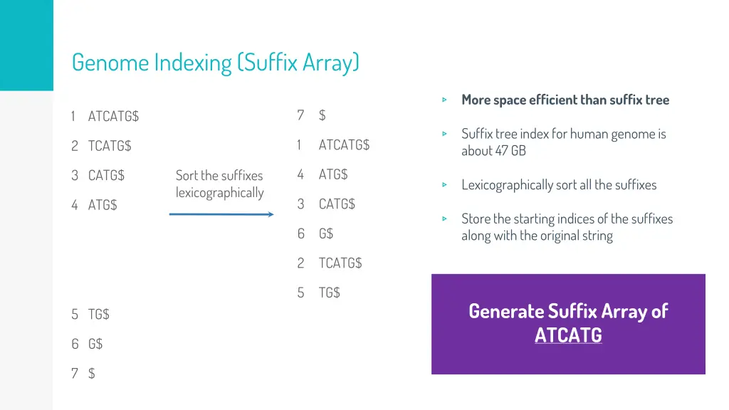 genome indexing suffix array