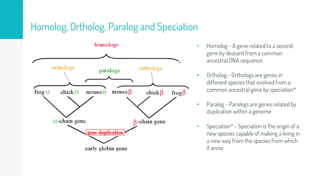 homolog ortholog paralog and speciation