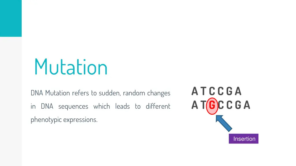 mutation