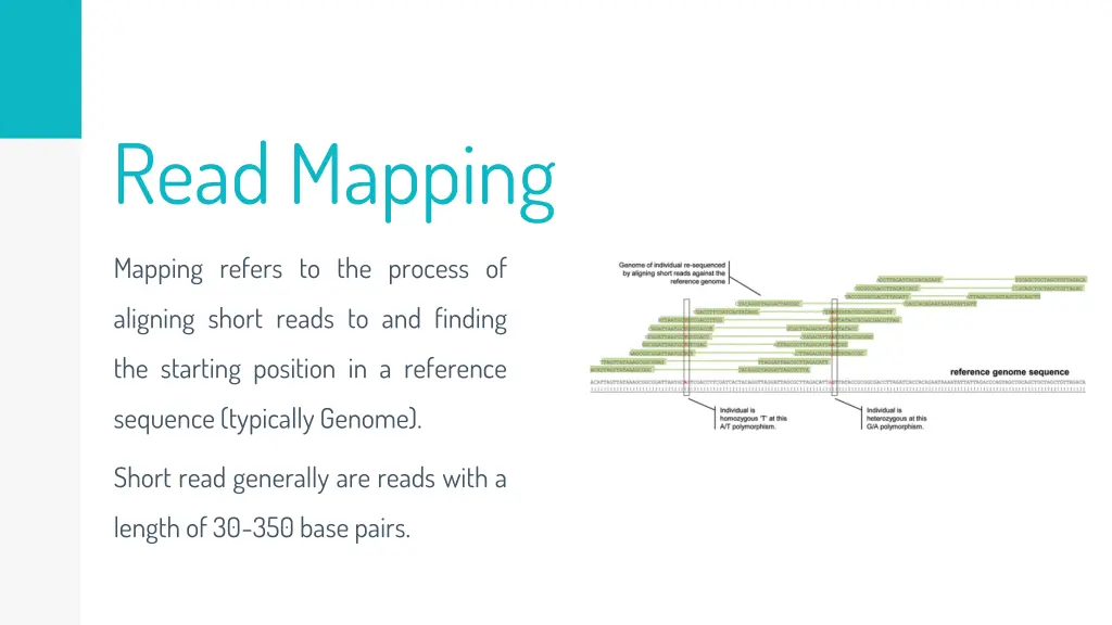 read mapping