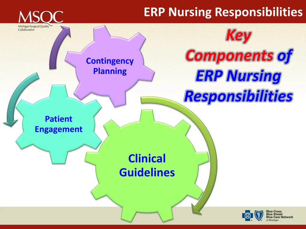 erp nursing responsibilities