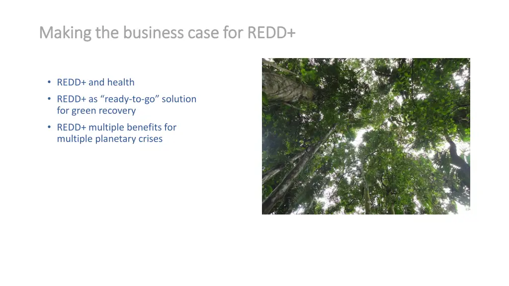 making the business case for redd making