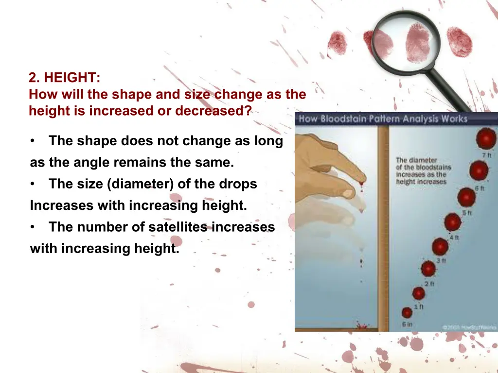 2 height how will the shape and size change