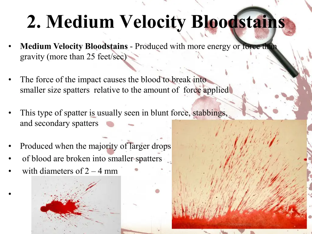 2 medium velocity bloodstains