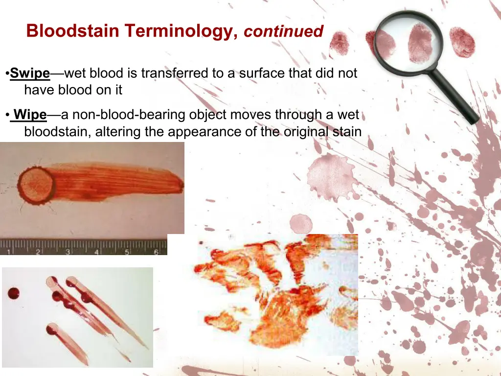 bloodstain terminology continued 1