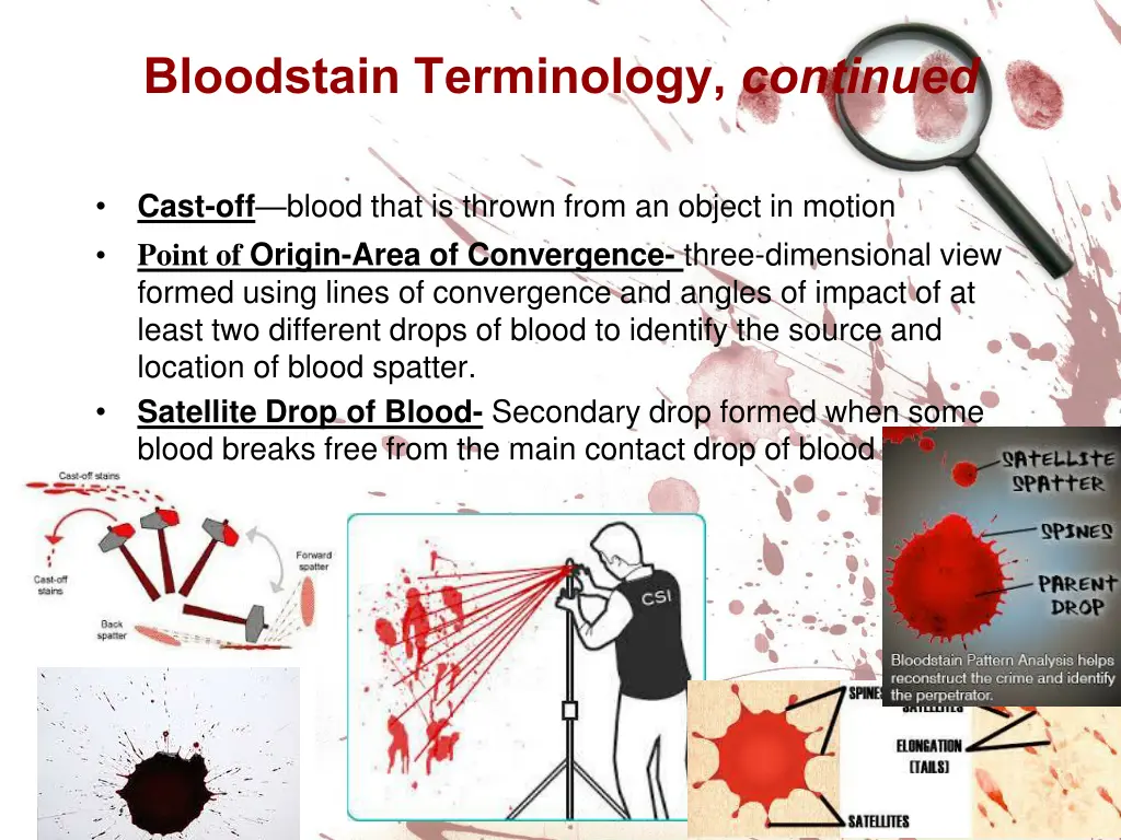 bloodstain terminology continued