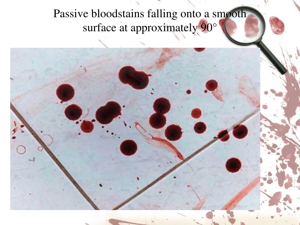 passive bloodstains falling onto a smooth surface