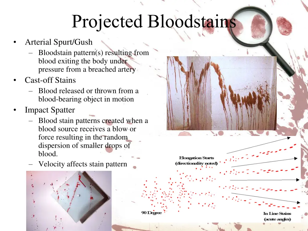 projected bloodstains