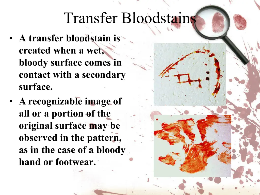 transfer bloodstains