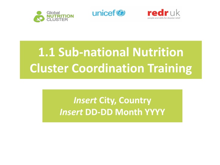 1 1 sub national nutrition cluster coordination