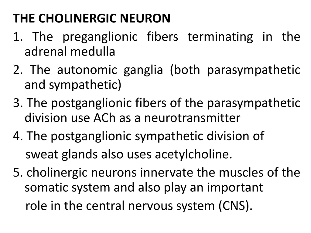 the cholinergic neuron 1 the preganglionic fibers