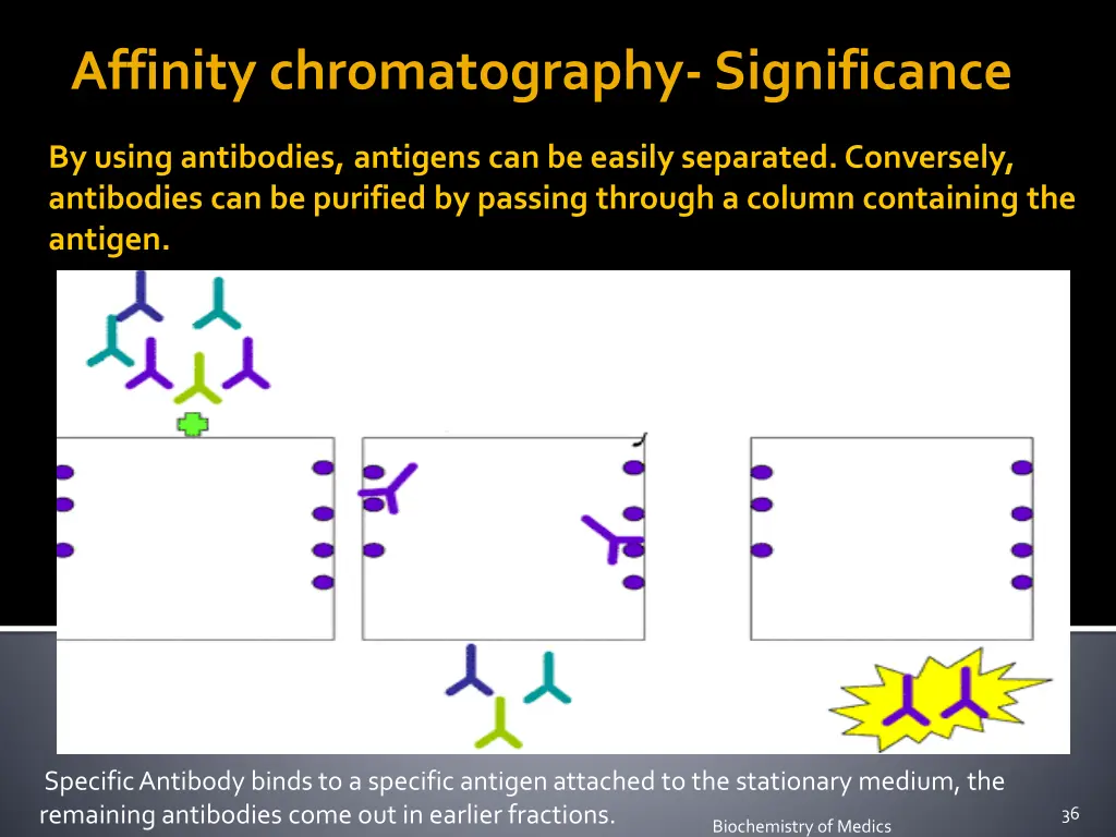 affinity chromatography significance 1