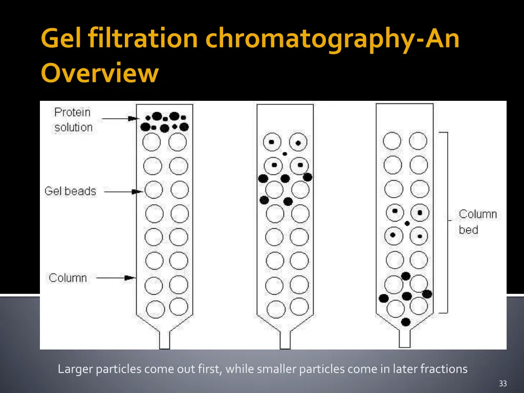 gel filtration chromatography an overview