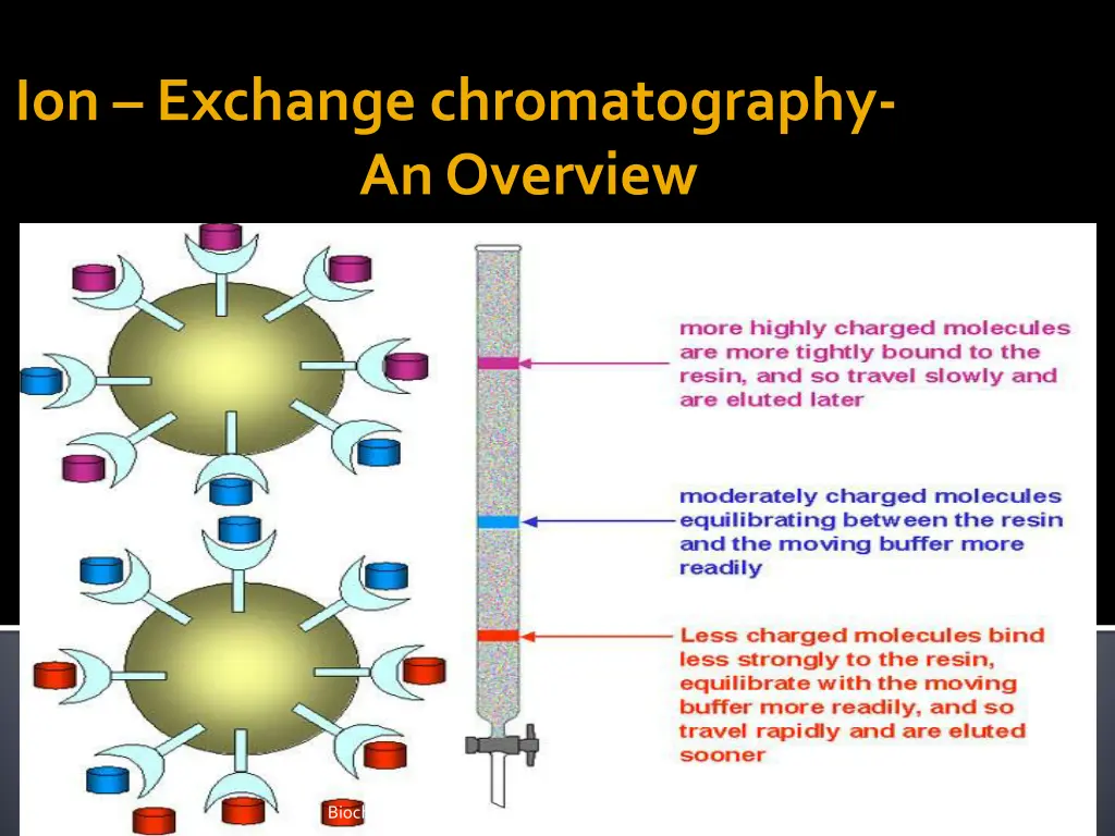 ion exchange chromatography an overview